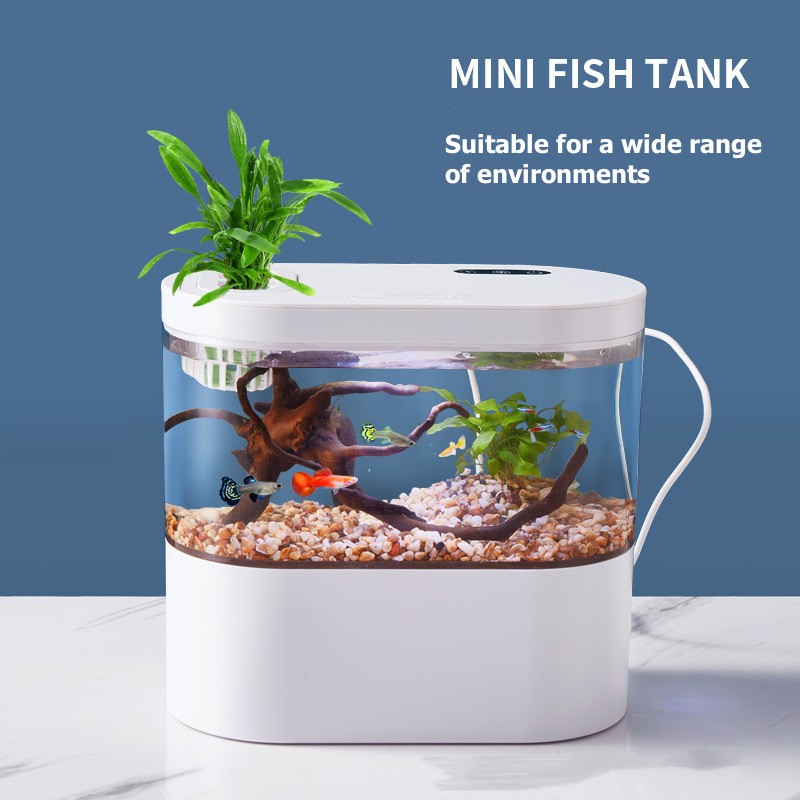 Marine Aquarium Water Change - Mini Desktop Aquarium Fish Tank with
