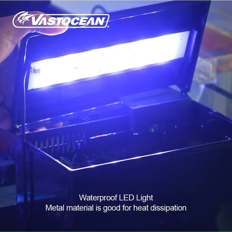 VASTOCEAN Fish Tank External F - Marine Aquarium Overflow 评论和价格