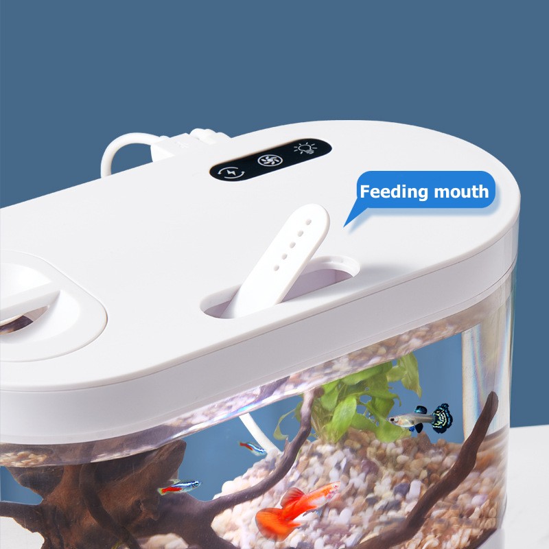 Mini Desktop Aquarium Fish Tan - Marine Aquarium Water Change 评论和价格