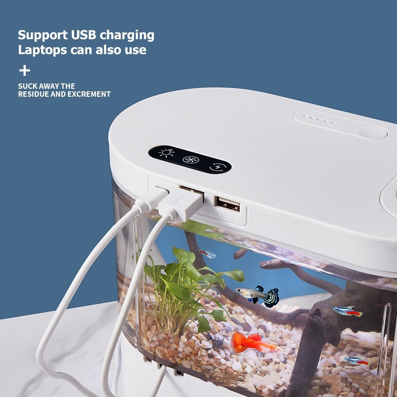 Mini Desktop Aquarium Fish Tan - Marine Aquarium Water Change 评论和价格
