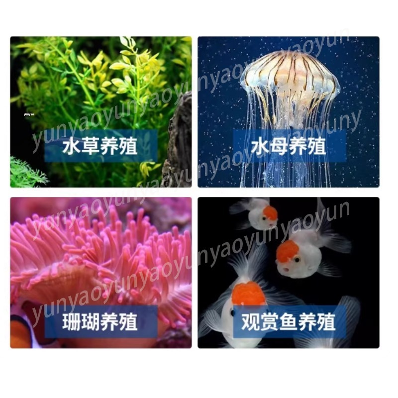 Small Aquarium Chiller Compres - Marine Aquarium Chiller 评论和价格