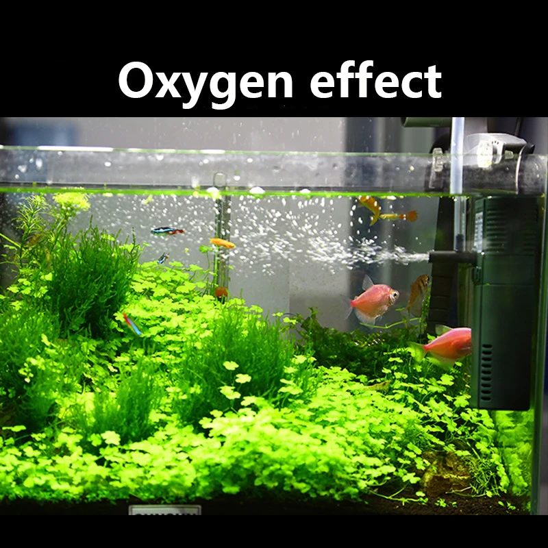 SUNSUN mini nano 111B 311B 611 - Marine Aquarium Chiller 评论和价格